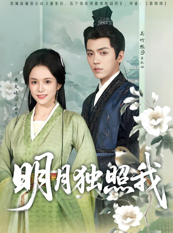 明月独照我(全集)