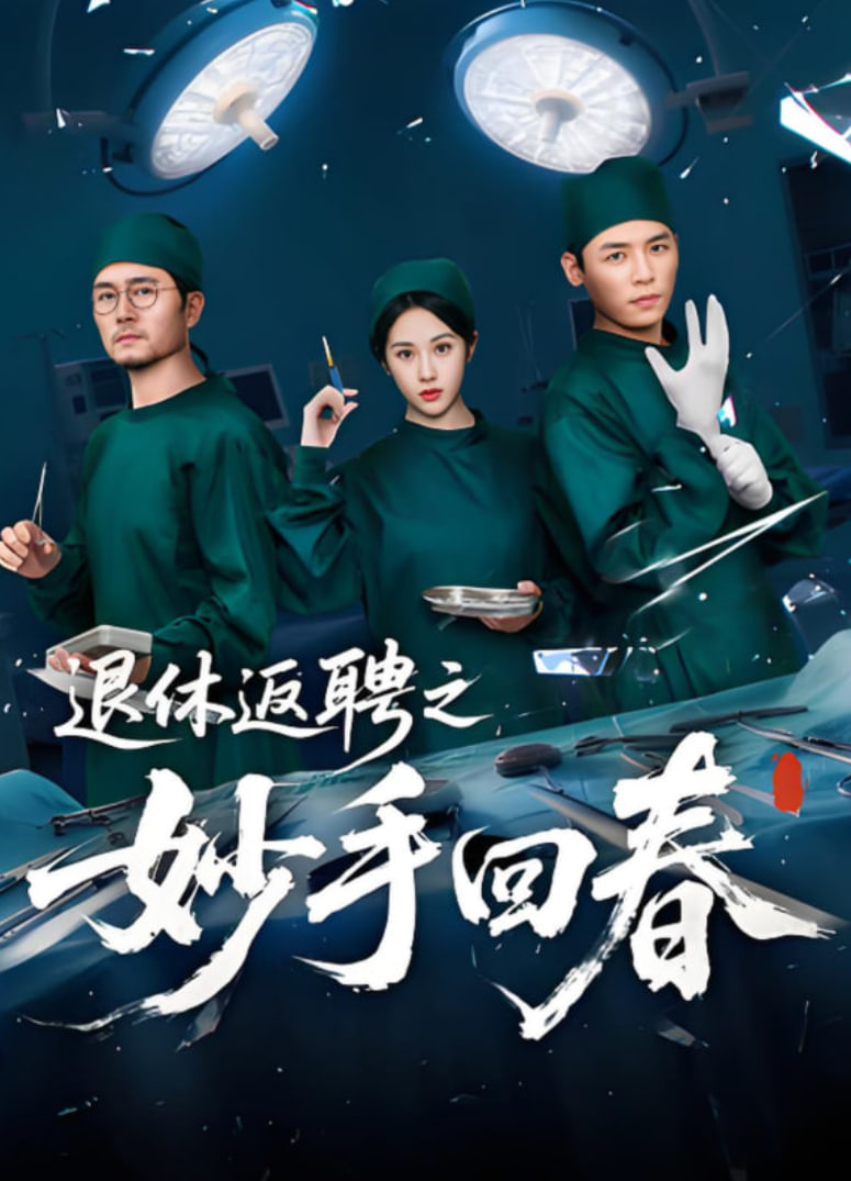 退休返聘之妙手回春(全集)