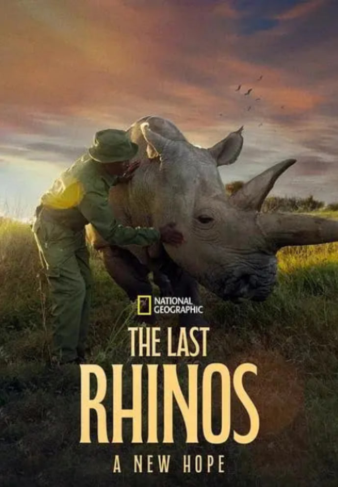最后的犀牛：新希望
