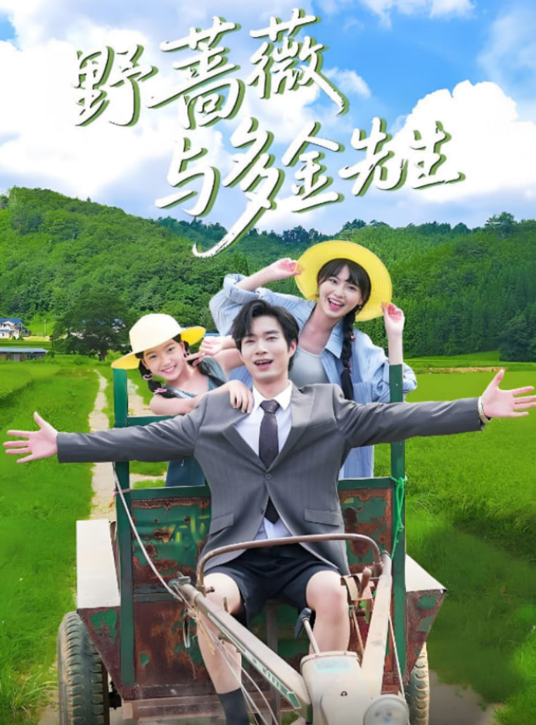 野蔷薇与多金先生(全集)