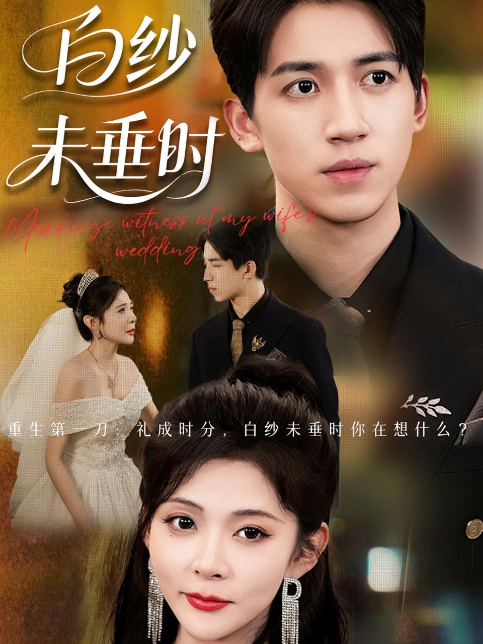 老婆婚礼我当证婚人（白纱未垂时）(全集)