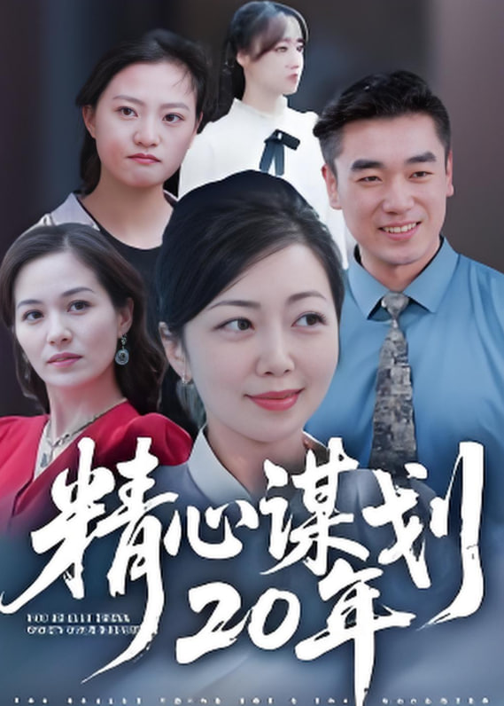 精心谋划20年(全集)