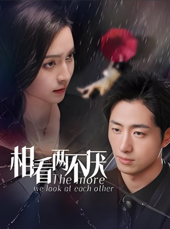 最后一个侠客(全集)