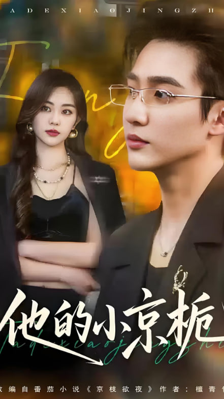 他的小京栀(全集)