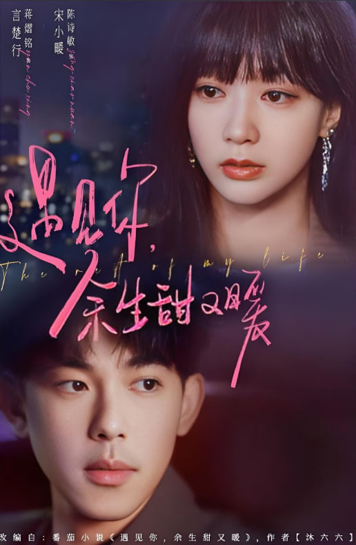 遇见你余生甜又暖(全集)