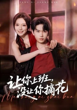 让你上班，没让你摘花(全集)
