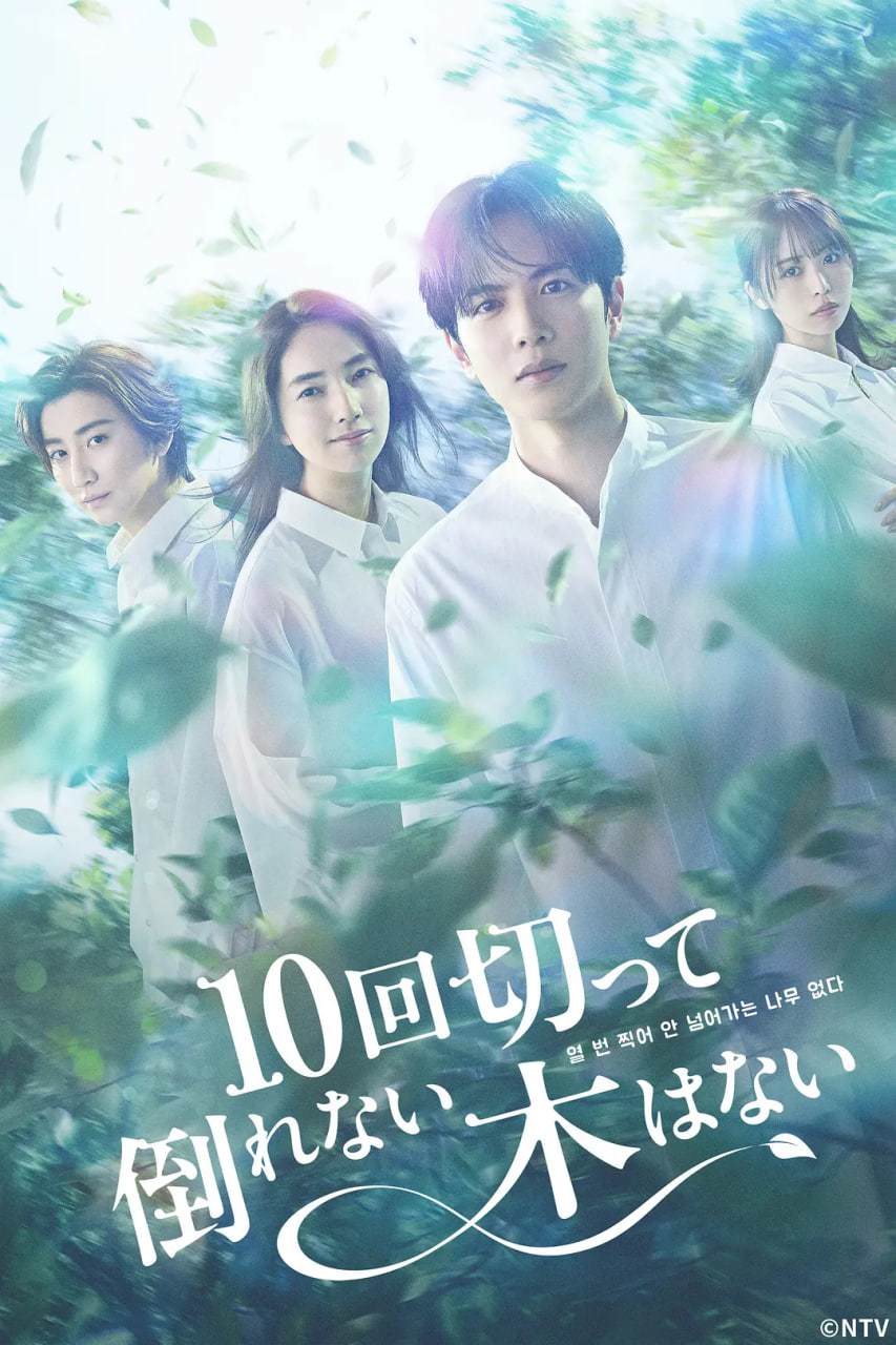 没有砍十次还不倒的树