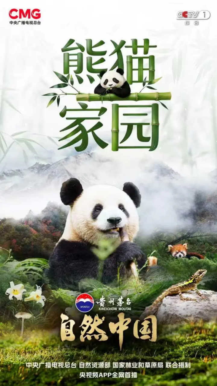 熊猫家园(全集)