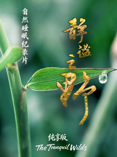 静谧之野 纯享版(全集)