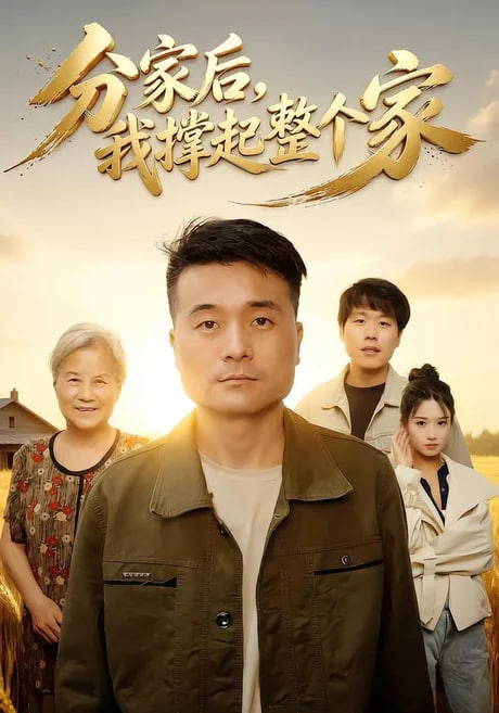 分家后我撑起整个家(全集)