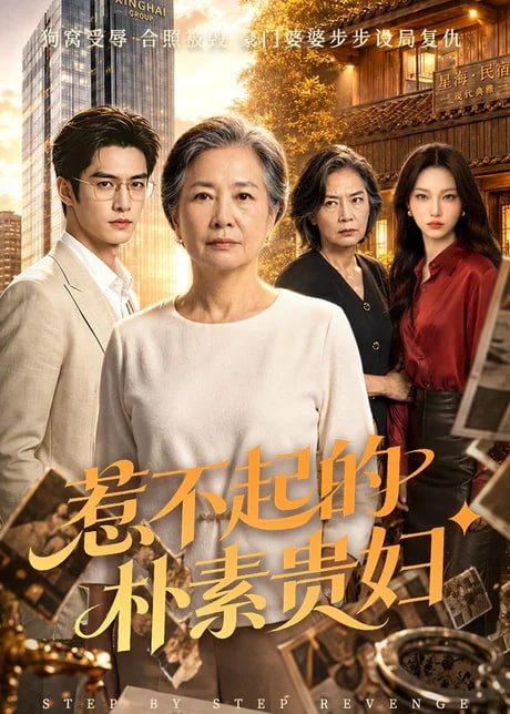 惹不起的朴素贵妇(全集)