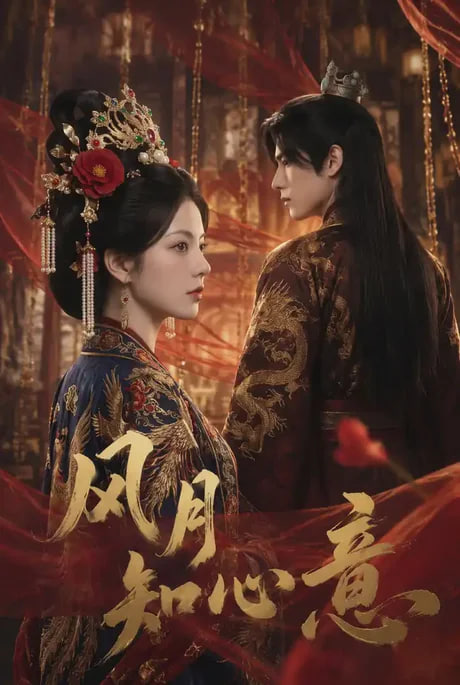 风月知心意(全集)