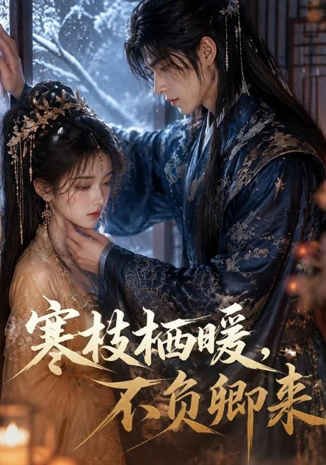 寒枝栖暖，不负卿来(全集)