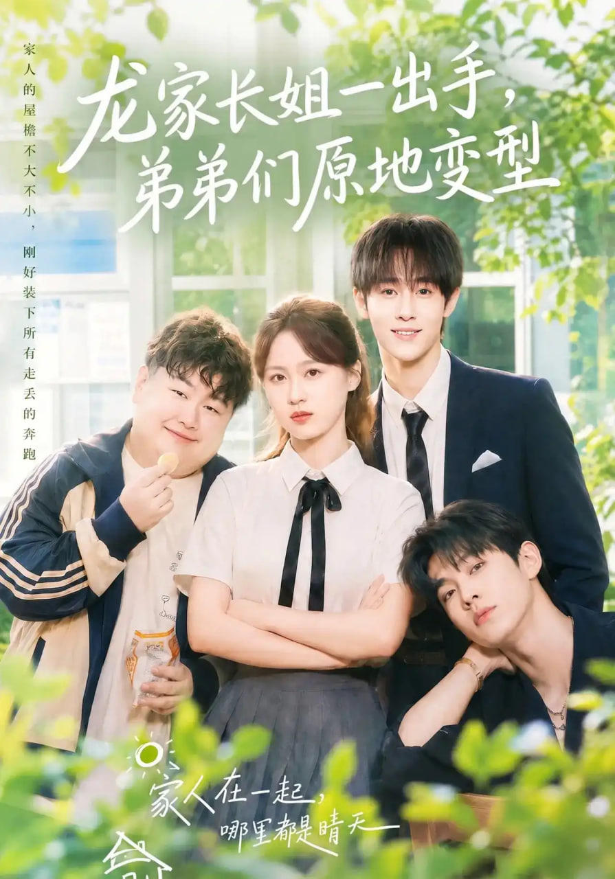 龙家长姐一出手，弟弟们原地变型(全集)